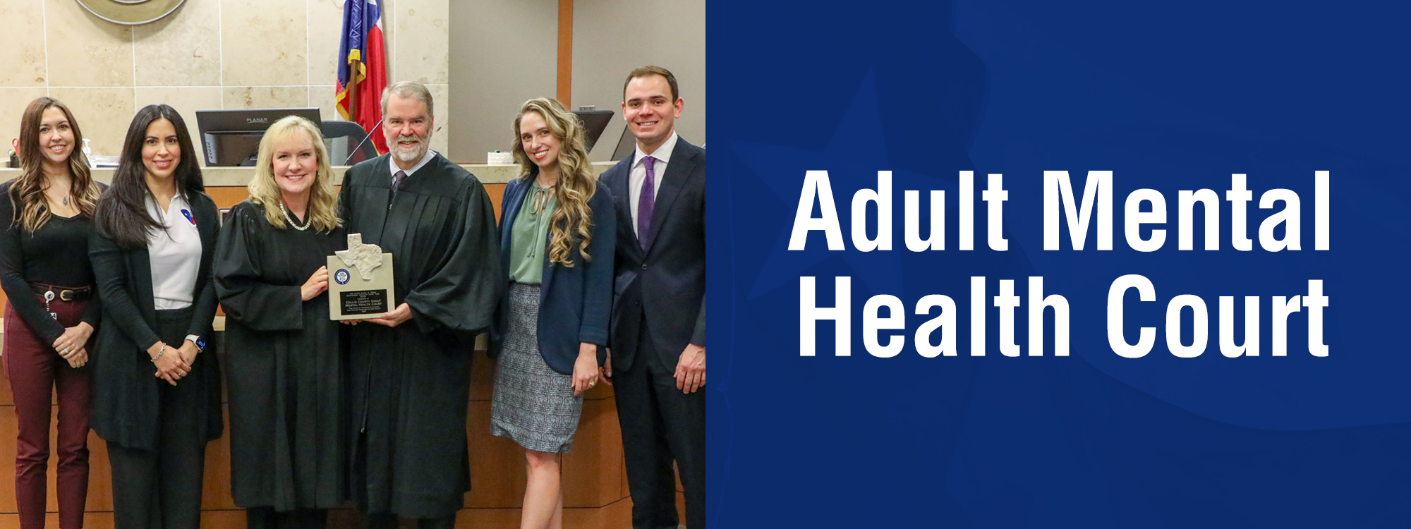 Adult Mental Health Court